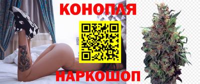 скорость Кингисепп