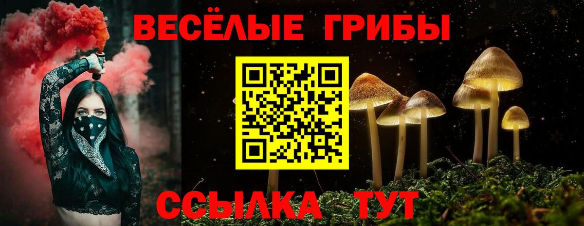 Галлюциногенные грибы Psilocybe  Вход с VPN  Кудрово  Галлюциногенные грибы мухоморы 
